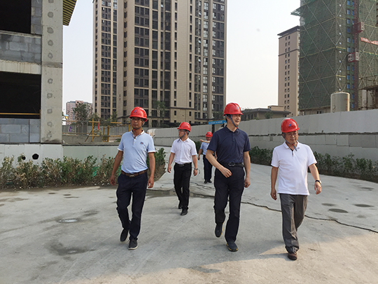 万搏（中国）董事长黄道元陪同千处长察看施工现场